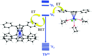 Graphical abstract: The role of the excited state dynamic of the antenna ligand in the lanthanide sensitization mechanism