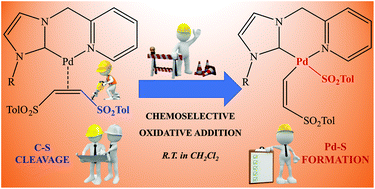 Graphical abstract: Chemoselective oxidative addition of vinyl sulfones mediated by palladium complexes bearing picolyl-N-heterocyclic carbene ligands.