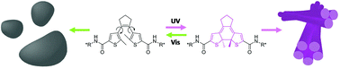 Graphical abstract: Light-controlled self-assembly of a dithienylethene bolaamphiphile in water