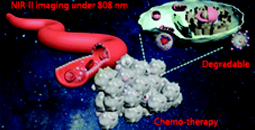 Graphical abstract: Degradable pH-responsive NIR-II imaging probes based on a polymer-lanthanide composite for chemotherapy