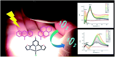 Graphical abstract: Towards better understanding of the photophysics of platinum(ii) coordination compounds with anthracene- and pyrene-substituted 2,6-bis(thiazol-2-yl)pyridines