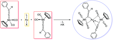 Graphical abstract: Manganese–gold–manganese complex with vinylidene and acetylide units