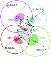 Graphical abstract: Localization of metal ions in biomolecules by means of pulsed dipolar EPR spectroscopy
