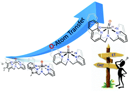 Graphical abstract: Mechanistic insight into oxygen atom transfer reactions by mononuclear manganese(iv)–oxo adducts