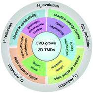 Graphical abstract: Atomic-scale engineering of chemical-vapor-deposition-grown 2D transition metal dichalcogenides for electrocatalysis