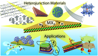 Graphical abstract: Photoinduced charge transfer in transition metal dichalcogenide heterojunctions – towards next generation energy technologies