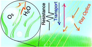 Graphical abstract: Optical and electrochemical effects of H2 and O2 bubbles at upward-facing Si photoelectrodes