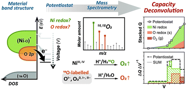 Graphical abstract: Deconvolution of intermixed redox processes in Ni-based cation-disordered Li-excess cathodes