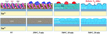 Graphical abstract: Identifying the origin of the Voc deficit of kesterite solar cells from the two grain growth mechanisms induced by Sn2+ and Sn4+ precursors in DMSO solution