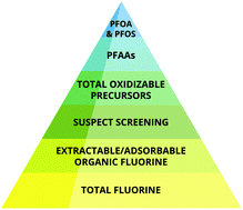 Graphical abstract: Strategies for grouping per- and polyfluoroalkyl substances (PFAS) to protect human and environmental health