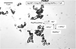 Graphical abstract: Aqueous solubility of Pb at equilibrium with hydroxypyromorphite over a range of phosphate concentrations