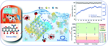 Graphical abstract: A tribo-positive Fe@MoS2 piezocatalyst for the durable degradation of tetracycline: degradation mechanism and toxicity assessment