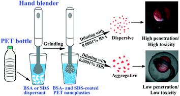 Graphical abstract: Realistic polyethylene terephthalate nanoplastics and the size- and surface coating-dependent toxicological impacts on zebrafish embryos