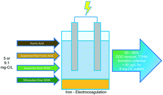 Graphical abstract: Iron-electrocoagulation as a disinfection byproduct control strategy for drinking water treatment