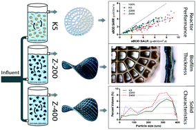 Graphical abstract: The impact of biofilm thickness-restraint and carrier type on attached growth system performance, solids characteristics and settleability