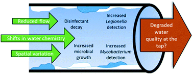 Graphical abstract: Drinking water microbiology in a water-efficient building: stagnation, seasonality, and physicochemical effects on opportunistic pathogen and total bacteria proliferation