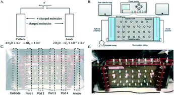 Graphical abstract: Coupled electrokinetic and biological remediation method leads to improved treatment of chlorinated solvents at high sulfate, transport limited sites