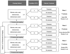 Graphical abstract: Efficacy of locally-available cleaning methods and household chlorination at inhibiting biofilm development in jerricans used to store household drinking water