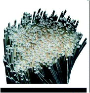 Graphical abstract: Determination of the efficiency of filtration of cultures from microalgae and bacteria using hollow fiber filters