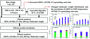 Graphical abstract: Understanding the formation of recalcitrant dissolved organic nitrogen as a result of thermal hydrolysis and anaerobic digestion of municipal sludge