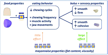 Graphical abstract: Sauce it up: influence of condiment properties on oral processing behavior, bolus formation and sensory perception of solid foods