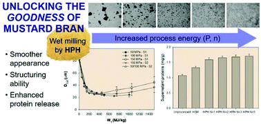 Graphical abstract: Mechanical cell disruption of mustard bran suspensions for improved dispersion properties and protein release