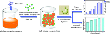 Graphical abstract: High-internal-phase emulsions (HIPEs) for co-encapsulation of probiotics and curcumin: enhanced survivability and controlled release