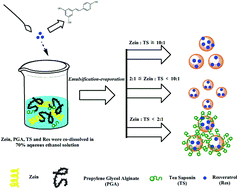Graphical abstract: The construction of resveratrol-loaded protein–polysaccharide–tea saponin complex nanoparticles for controlling physicochemical stability and in vitro digestion