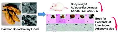 Graphical abstract: Retarding effect of dietary fibers from bamboo shoot (Phyllostachys edulis) in hyperlipidemic rats induced by a high-fat diet
