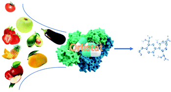 Graphical abstract: Drug-guided screening for pancreatic lipase inhibitors in functional foods