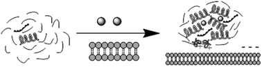 Graphical abstract: Changes in the secondary structures and zeta potential of soybean peptide and its calcium complexes in different solution environments