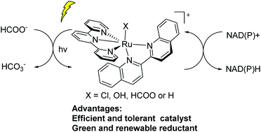 Graphical abstract: The visible-light-driven transfer hydrogenation of nicotinamide cofactors with a robust ruthenium complex photocatalyst
