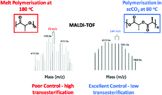 Graphical abstract: Low-temperature and purification-free stereocontrolled ring-opening polymerisation of lactide in supercritical carbon dioxide
