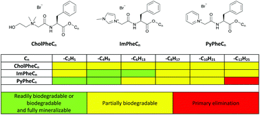 Graphical abstract: Design rules for environmental biodegradability of phenylalanine alkyl ester linked ionic liquids