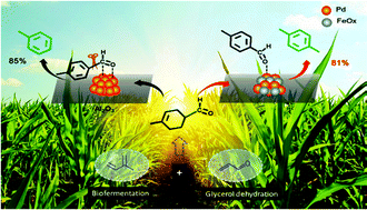 Graphical abstract: Selective production of bio-based para-xylene over an FeOx-modified Pd/Al2O3 catalyst