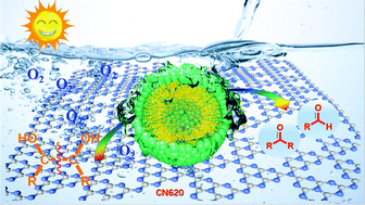 Graphical abstract: Heterogeneous carbon nitride photocatalyst for C–C bond oxidative cleavage of vicinal diols in aerobic micellar medium