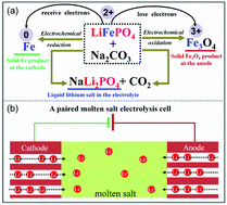 Graphical abstract: A paired electrolysis approach for recycling spent lithium iron phosphate batteries in an undivided molten salt cell