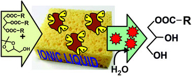 Graphical abstract: Chemo-enzymatic production of omega-3 monoacylglycerides using sponge-like ionic liquids and supercritical carbon dioxide