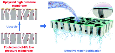 Graphical abstract: Fouling is the beginning: upcycling biopolymer-fouled substrates for fabricating high-permeance thin-film composite polyamide membranes