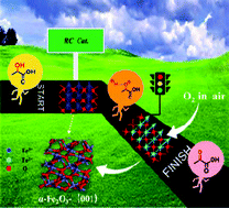 Graphical abstract: The facet-regulated oxidative dehydrogenation of lactic acid to pyruvic acid on α-Fe2O3