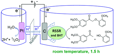 Graphical abstract: Thio-assisted reductive electrolytic cleavage of lignin β-O-4 models and authentic lignin