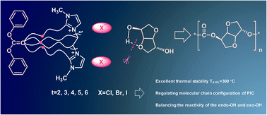 Graphical abstract: Efficient synthesis of isosorbide-based polycarbonate with scalable dicationic ionic liquid catalysts by balancing the reactivity of the endo-OH and exo-OH
