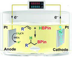 Graphical abstract: Selective electrocatalytic hydroboration of aryl alkenes