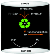 Graphical abstract: Electro-oxidative C–H alkylation of quinoxalin-2(1H)-ones with organoboron compounds