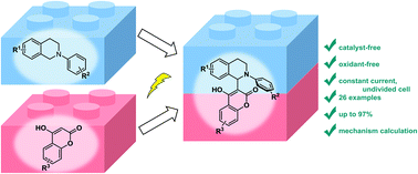 Graphical abstract: An oxidant- and catalyst-free electrooxidative cross-coupling approach to 3-tetrahydroisoquinoline substituted coumarins