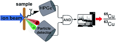 Graphical abstract: Determination of stable isotope ratios using nuclear reaction analysis coupled with a particle–gamma coincidence method