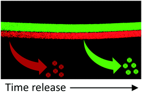 Graphical abstract: A microfluidic approach to micromembrane synthesis for complex release profiles of nanocarriers