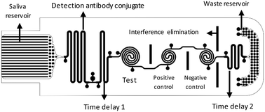 Graphical abstract: Retracted Article: A new polymer lab-on-a-chip (LOC) based on a microfluidic capillary flow assay (MCFA) for detecting unbound cortisol in saliva