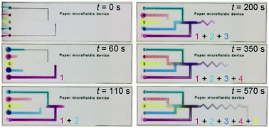 Graphical abstract: Quantitatively controllable fluid flows with ballpoint-pen-printed patterns for programmable photo-paper-based microfluidic devices