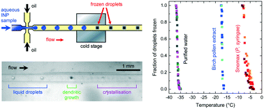 Graphical abstract: On-chip analysis of atmospheric ice-nucleating particles in continuous flow